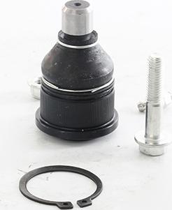 BSG BSG 55-310-001 - Rotule de suspension droxauto.com