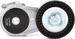 BSG BSG 65-615-017 - Tendeur de courroie, courroie trapézoïdale à nervures droxauto.com