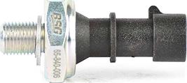 BSG BSG 65-840-006 - Capteur, pression d'huile droxauto.com