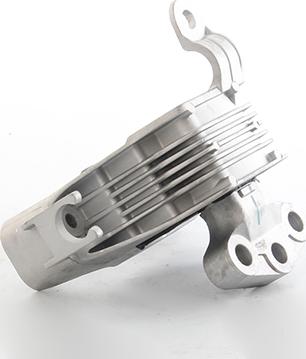 BSG BSG 65-700-301 - Support moteur droxauto.com