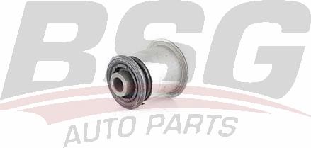 BSG BSG 65-700-251 - Suspension, bras de liaison droxauto.com