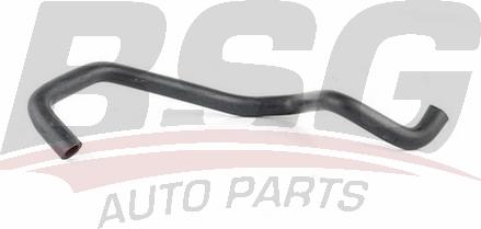 BSG BSG 65-720-133 - Tuyau, ventilation de carter-moteur droxauto.com