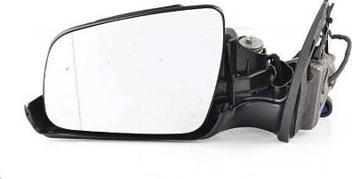 BSG BSG 60-900-097 - Rétroviseur extérieur droxauto.com