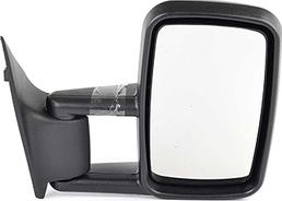 BSG BSG 60-900-001 - Rétroviseur extérieur droxauto.com