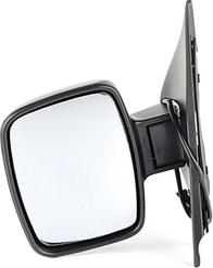 BSG BSG 60-900-008 - Rétroviseur extérieur droxauto.com