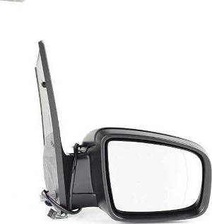 BSG BSG 60-900-110 - Rétroviseur extérieur droxauto.com