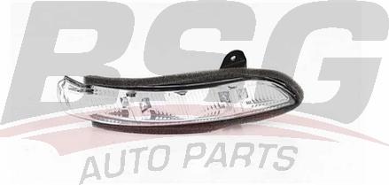 BSG BSG 60-916-012 - Feu clignotant droxauto.com