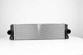 BSG BSG 60-535-007 - Intercooler, échangeur droxauto.com
