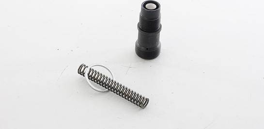 BSG BSG 60-109-025 - Tendeur, chaîne de distribution droxauto.com