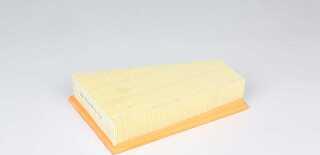 BSG BSG 60-135-028 - Filtre à air droxauto.com