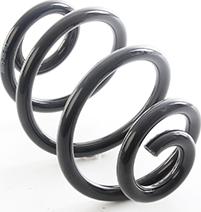 BSG BSG 15-305-013 - Ressort de suspension droxauto.com