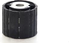 BSG BSG 15-700-103 - Suspension, corps de l'essieu droxauto.com