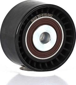 BSG BSG 30-615-042 - Poulie renvoi / transmission, courroie de distribution droxauto.com