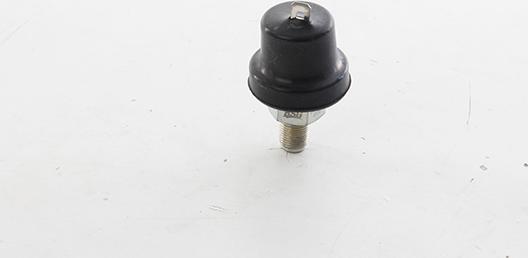 BSG BSG 30-840-078 - Capteur, pression d'huile droxauto.com