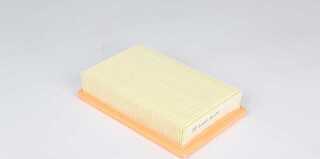 BSG BSG 25-135-009 - Filtre à air droxauto.com