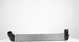 BSG BSG75535004 - Intercooler, échangeur droxauto.com