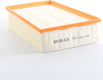 BSG BSG 75-135-026 - Filtre à air droxauto.com