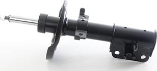 BSG BSG 75-300-032 - Amortisseur droxauto.com