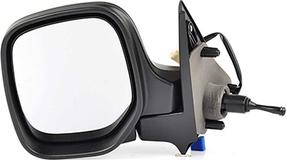 BSG BSG 70-900-011 - Rétroviseur extérieur droxauto.com