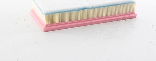 BSG BSG 70-135-016 - Filtre à air droxauto.com