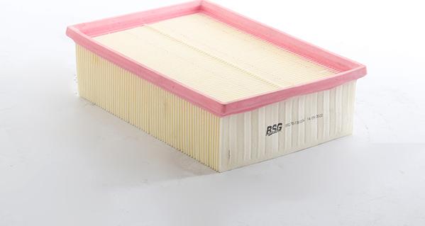 BSG BSG 70-135-036 - Filtre à air droxauto.com