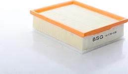 BSG BSG 70-135-038 - Filtre à air droxauto.com