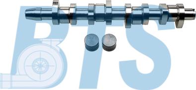 BTS Turbo CP60255 - Jeu d'arbres à came droxauto.com