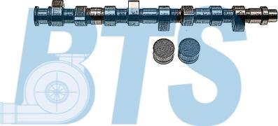 BTS Turbo CP60206 - Jeu d'arbres à came droxauto.com