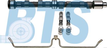 BTS Turbo CP61113 - Jeu d'arbres à came droxauto.com