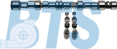 BTS Turbo CP62243 - Jeu d'arbres à came droxauto.com