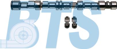 BTS Turbo CP62242 - Jeu d'arbres à came droxauto.com