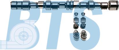BTS Turbo CP62220 - Jeu d'arbres à came droxauto.com