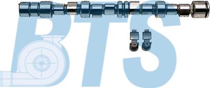 BTS Turbo CP62219 - Jeu d'arbres à came droxauto.com