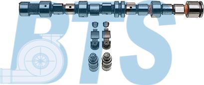 BTS Turbo CP62210 - Jeu d'arbres à came droxauto.com