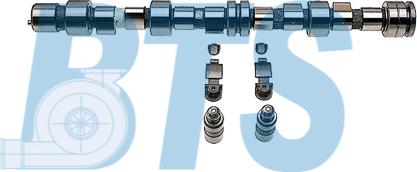 BTS Turbo CP62284 - Jeu d'arbres à came droxauto.com