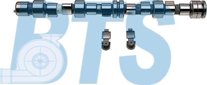 BTS Turbo CP62283 - Jeu d'arbres à came droxauto.com