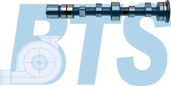 BTS Turbo CP16004 - Arbre à came droxauto.com