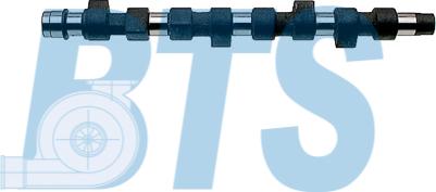 BTS Turbo CP16394 - Arbre à came droxauto.com