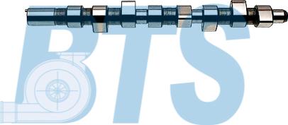 BTS Turbo CP16392 - Arbre à came droxauto.com