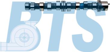 BTS Turbo CP16345 - Arbre à came droxauto.com