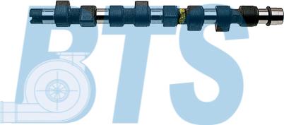 BTS Turbo CP16377 - Arbre à came droxauto.com