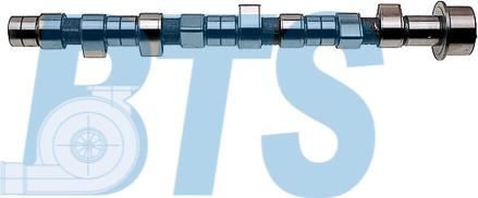 BTS Turbo CP16205 - Arbre à came droxauto.com