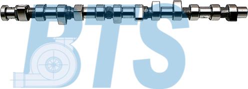 BTS Turbo CP10609 - Arbre à came droxauto.com