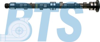 BTS Turbo CP10601 - Arbre à came droxauto.com