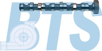 BTS Turbo CP10243 - Arbre à came droxauto.com