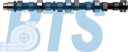 BTS Turbo CP11909 - Arbre à came droxauto.com