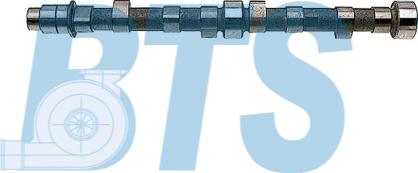 BTS Turbo CP11901 - Arbre à came droxauto.com