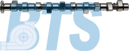 BTS Turbo CP11914 - Arbre à came droxauto.com