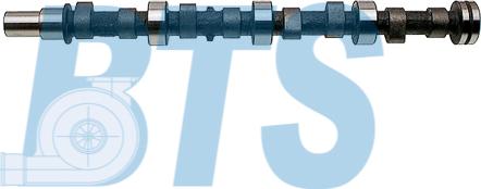 BTS Turbo CP11910 - Arbre à came droxauto.com