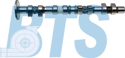 BTS Turbo CP11930 - Arbre à came droxauto.com